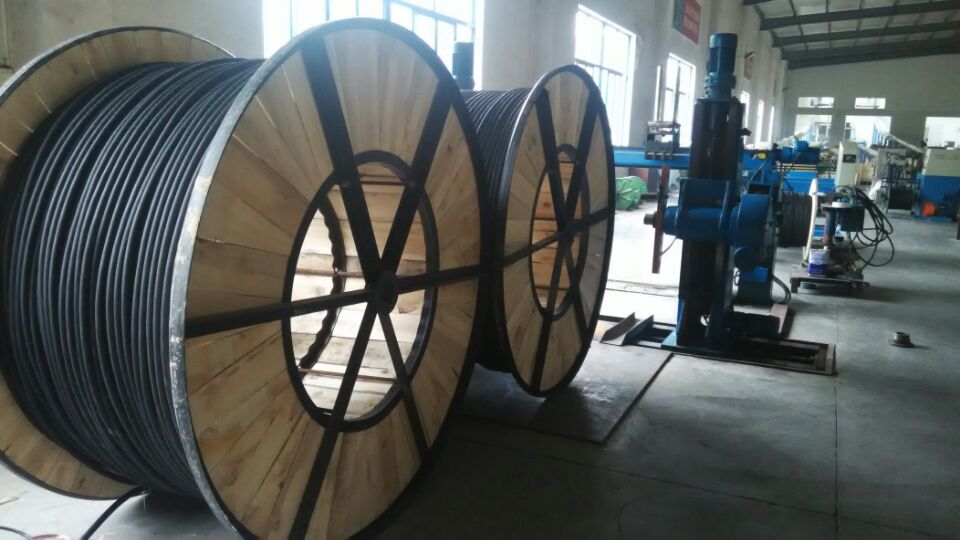 ͸800ȵ£800µ¼鱨ȫ