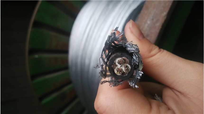 KS-JN-FBBNP-VVP厂家电缆图