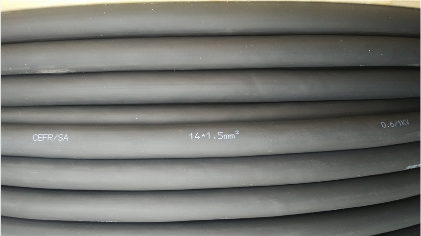 ZB-KVVP3-320.45/0.75kVƵ³