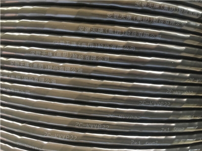 补偿导线ZR-KA-HA-FGBP-5*2*1.5厂家电缆图