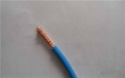 ZB-KVVP1-22-(R)0.45/0.75kVƵ±