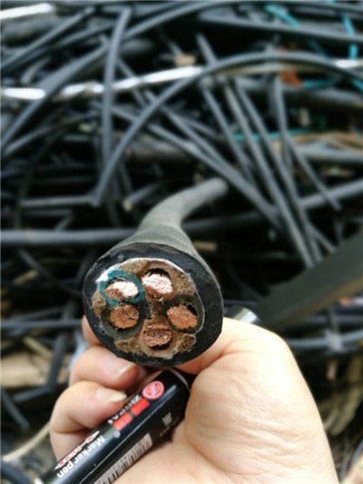 KYJVP2-(B)0.45/0.75kVƵִб׼