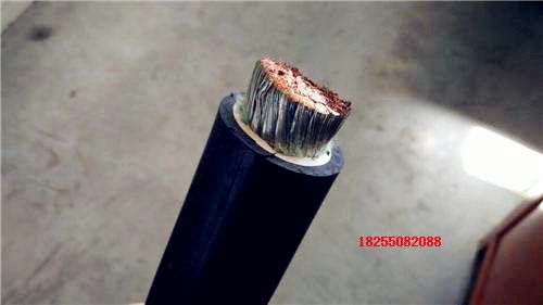 ZR-KX-HF4P2-1*2*1.5άֻ֯߳