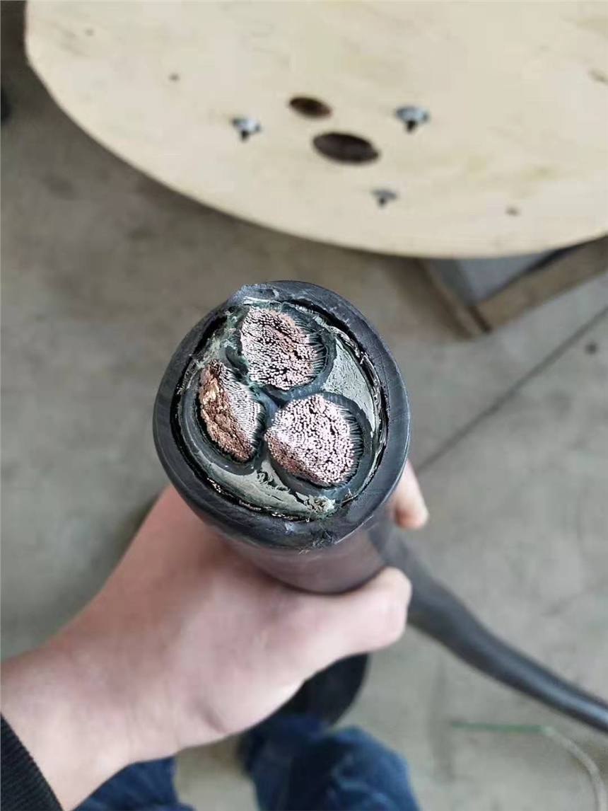 ZC-KYJVP1-220.45/0.75kVƵ¹