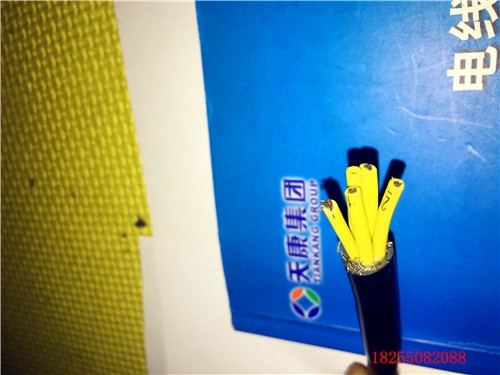 ZCN-DJYP3V-(B)0.3/0.5kV¹