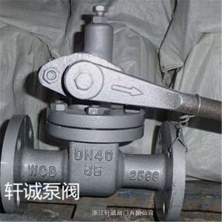 轩诚阀门直销 P48H快速排污阀 不锈钢快速排污阀