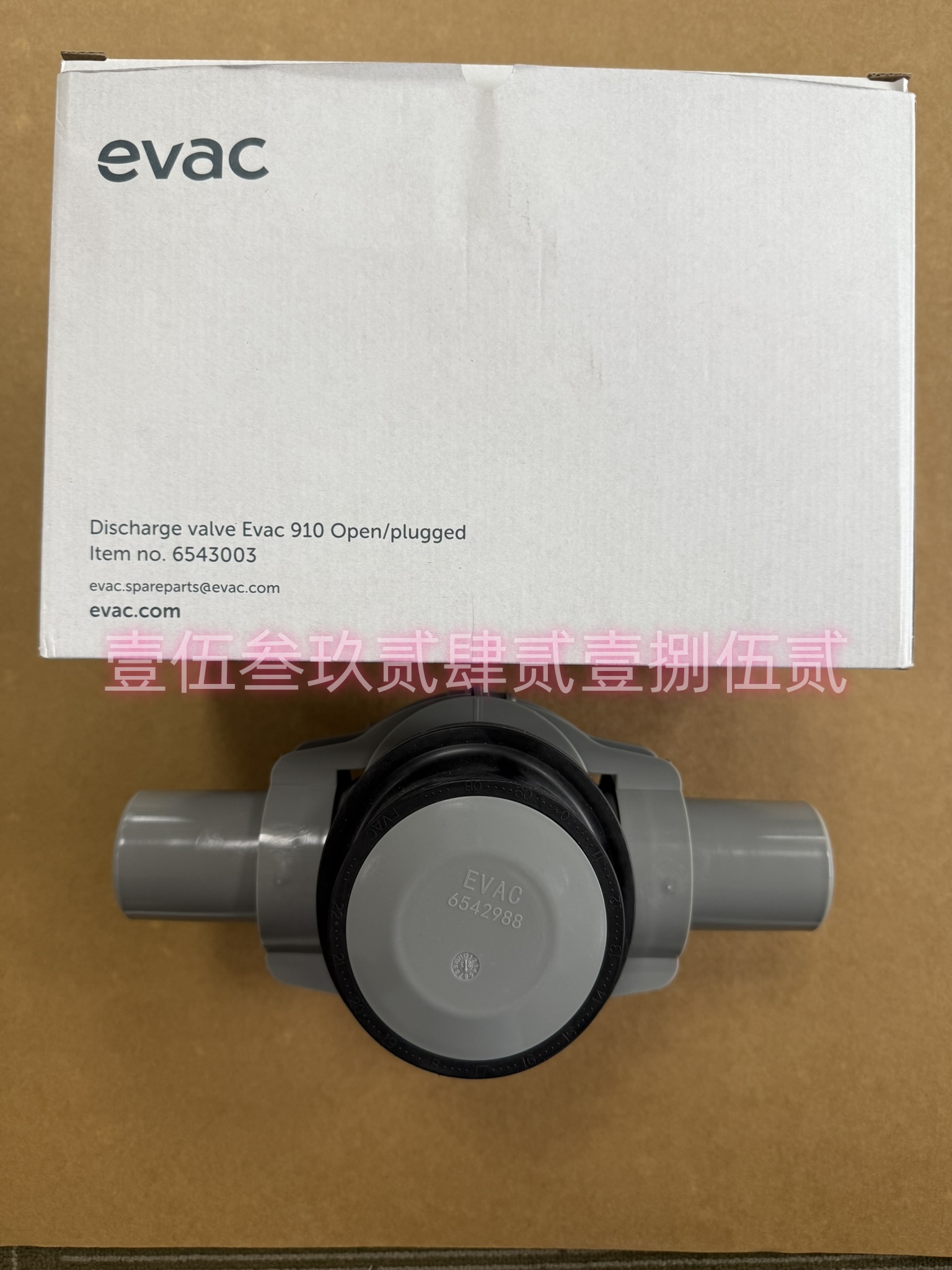 EVACСս淧6545363۸