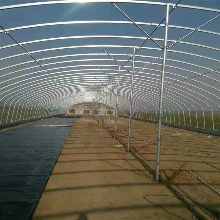 󳧼ҽĢҴչⱡĤůݮ