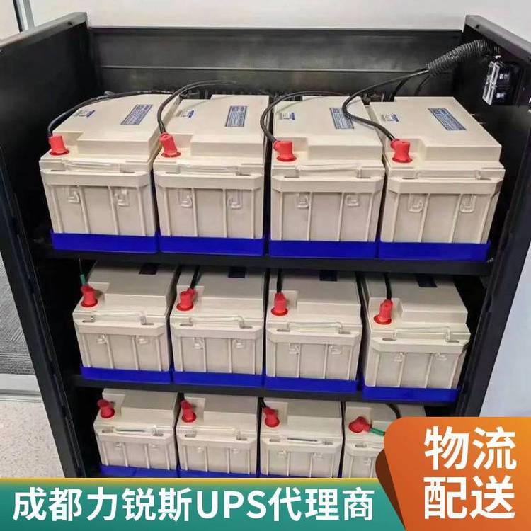 ˹UPSƵʽԴE3KS3KVA\/2.4KWѹ