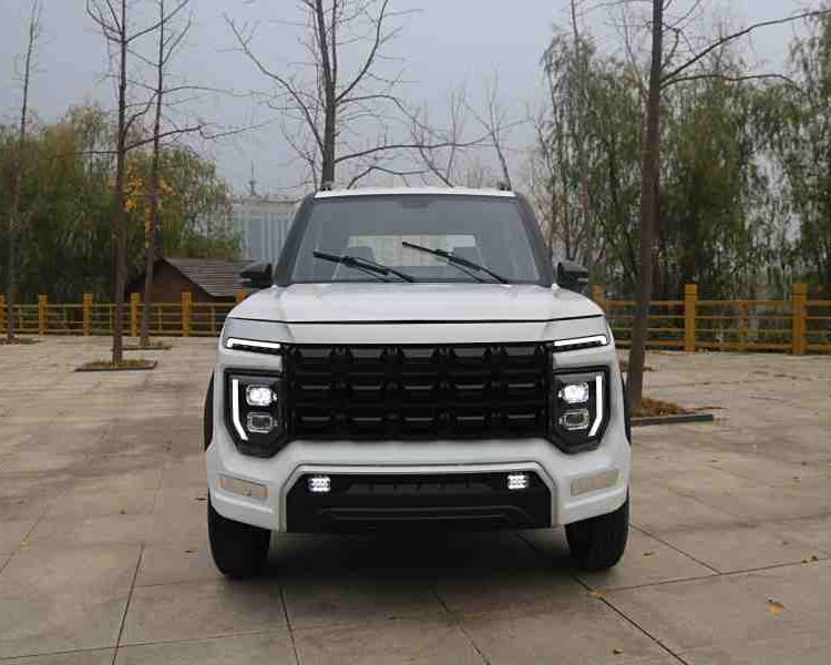 ֵ綯Դ͵СͼŮͷִԽҰƤ