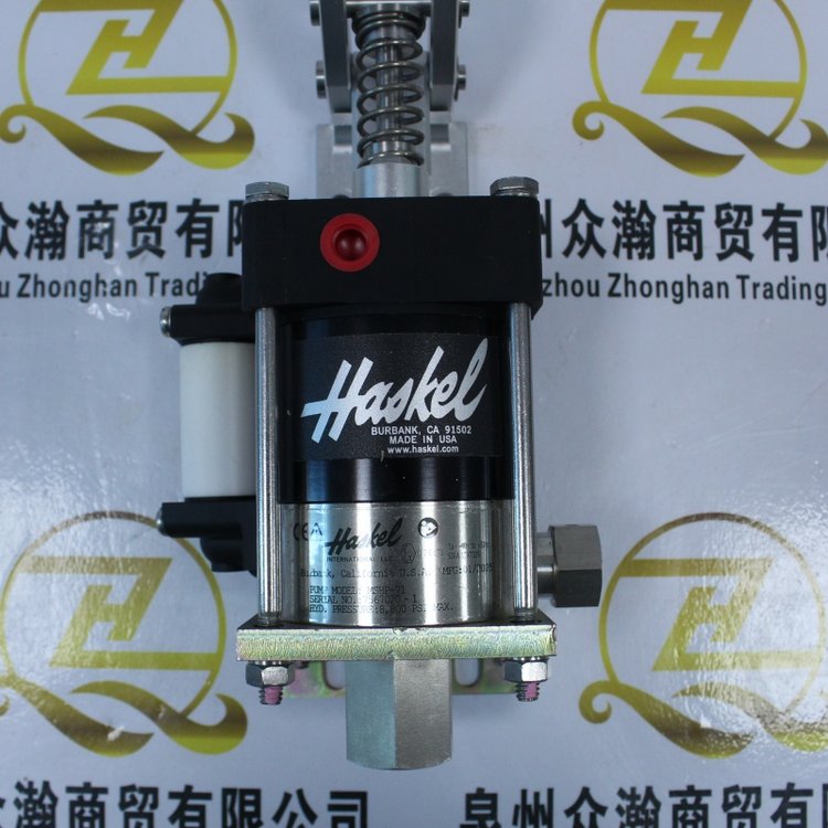 ¹FSGתλPW620-19IIDELT416481