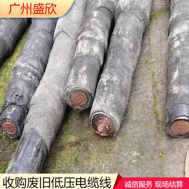 ɽж־ɵ»չѹߵ²Ź