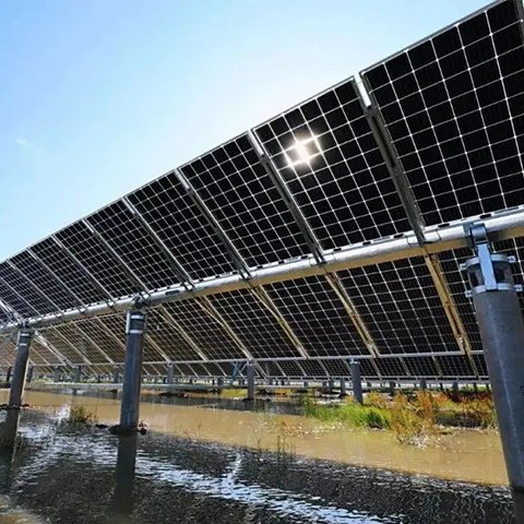 ˶Դũ⻥֧c͸ֺ1.8ɶ