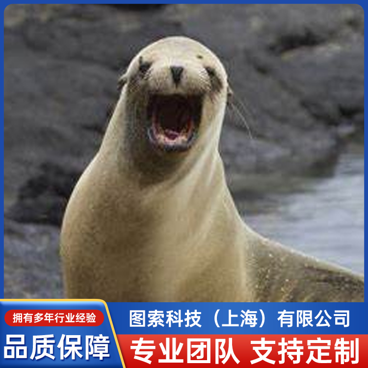 SPOT-325AǷǩж״ߴ̾봫ȶ