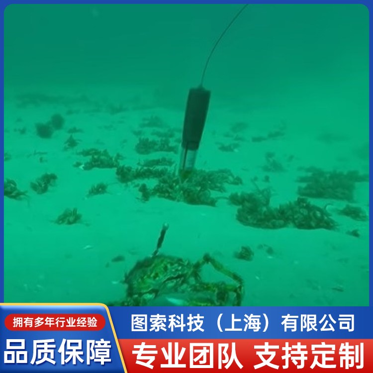 SurvivorshipPAT-407ʽ浵ǲ֧Ǵ