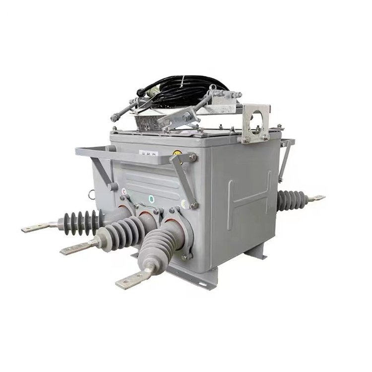 10KVѹն·ZW20-12F\/630AŹֽͻϿ