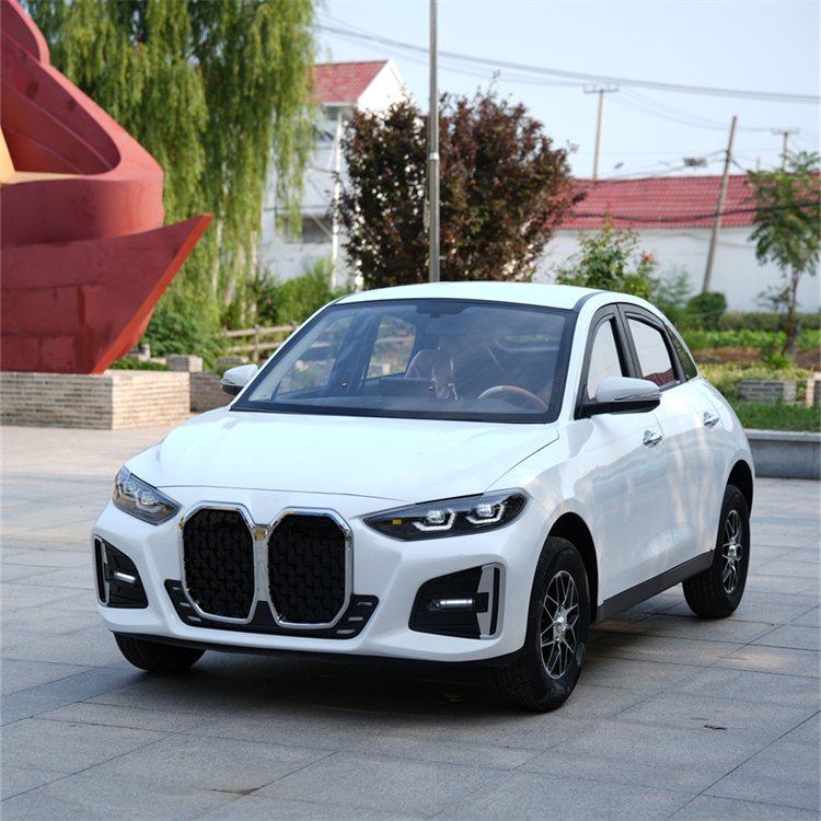 ԴͷִС͵綯ֳŮʿСγ