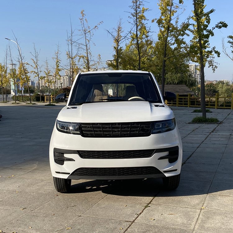 Դ·ʤγõ綯ֳѧͷ͵