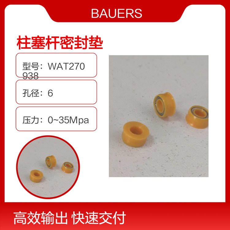 ɫרûɫܷWAT270938CTS-10566