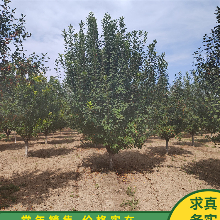 ͥԺ̻14ֱĹ԰·̻е