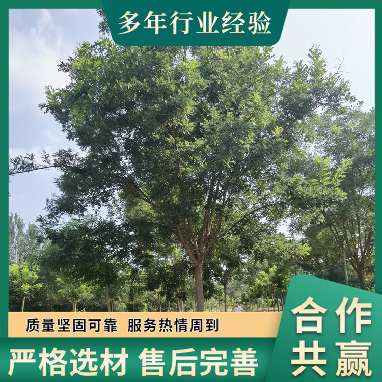 С13-14-15-16-17ֹ·͹