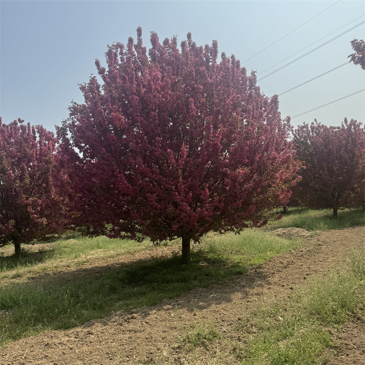 13-14-15-16-17-18-19-20ֱе̻