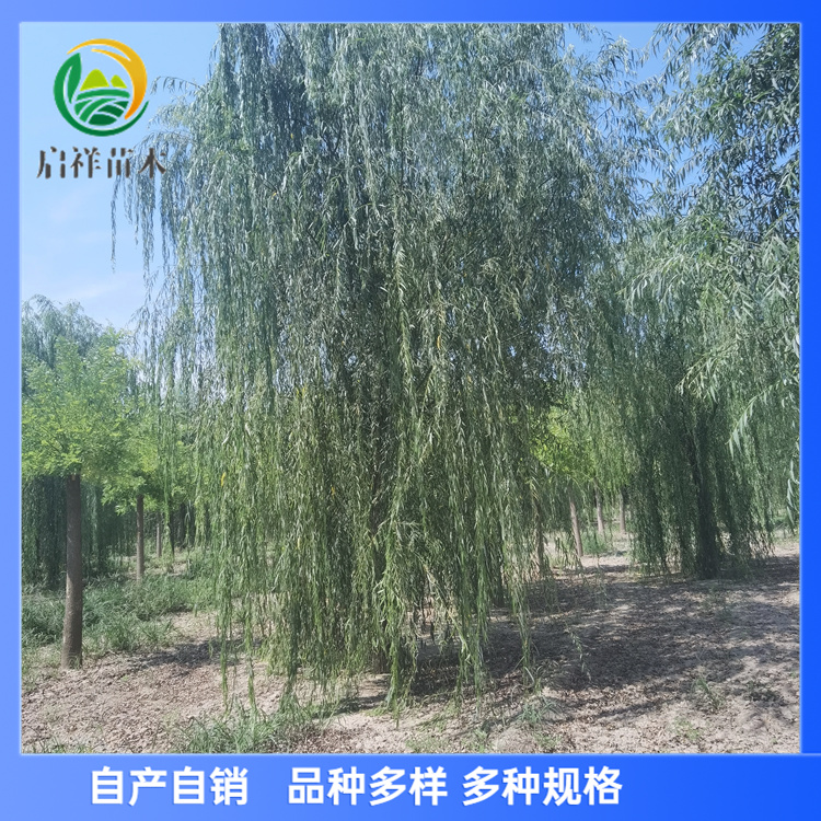 10-12-13-14-24-25-26-28-30ִֹһֲ