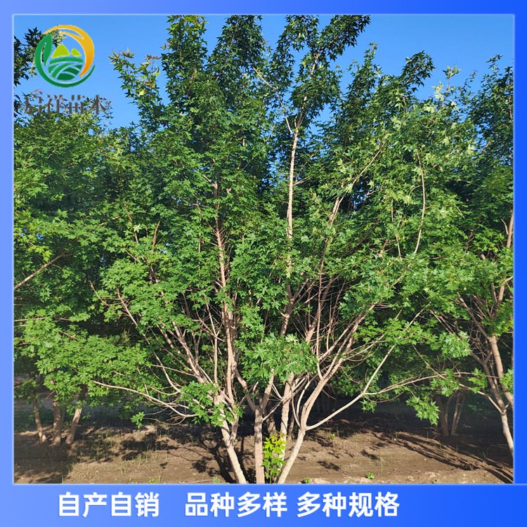 15-16-17-18-19-20Ƿ㹫·԰ҶľǷ