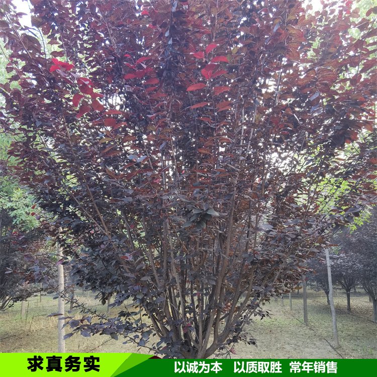 7-8-9-10-11-12-13-14-15ֺҶҶе