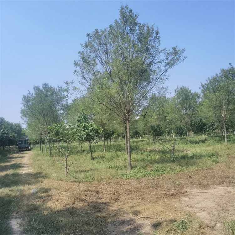 161719ֹز̻ͥԺ̻е̻μ