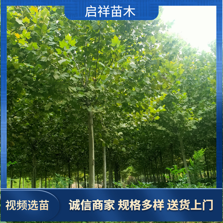 6-8-10-11-14-16-18ͥԺͷͩеڷ