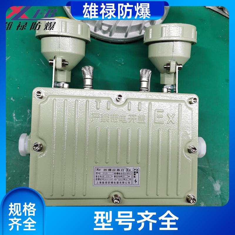 »ӦϽ˫ͷ־Ƹʽָʾư趨