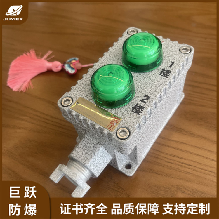 巨跃厂家直供LBZ10-2防爆信号显示装置IP65铝合金材质操作柱