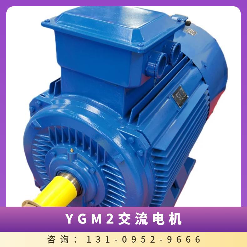 ̩첽YGM2-355M2-10132ǧ10ͽṹԵF