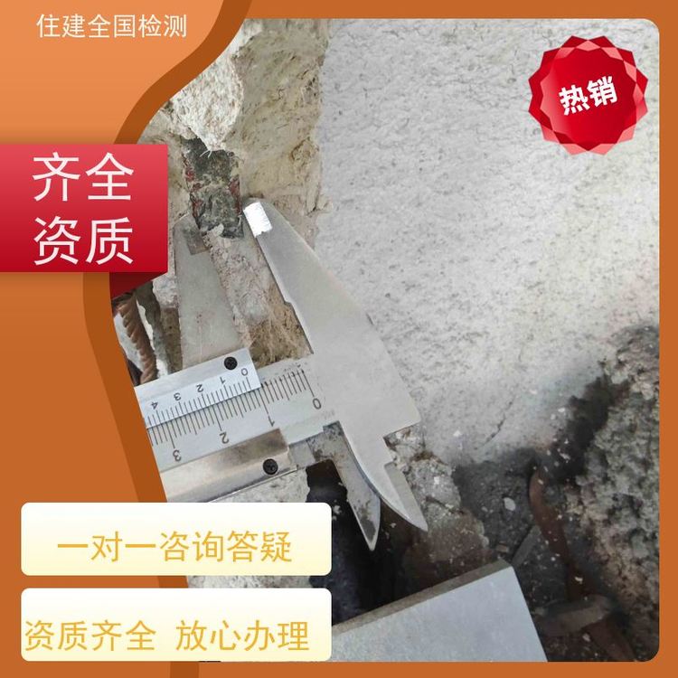 տзݼշѱ׼ȫʿɲ鱨3Ч