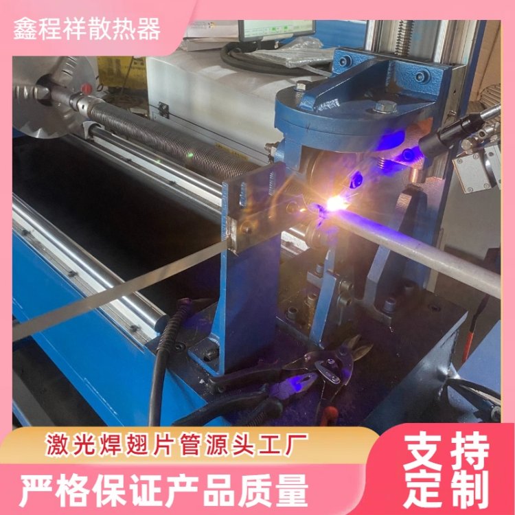 γ鼤⺸ҴƬͼӹϸϲƷ