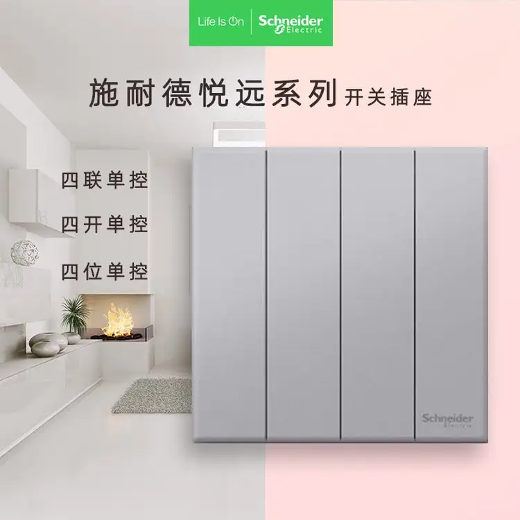 ʩ͵Զ10AX250V~˫ؿŰ׸ջ