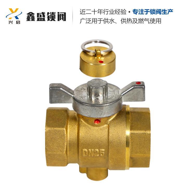双功能温控锁闭阀DN20-DN25规格多设计新颖支持售后