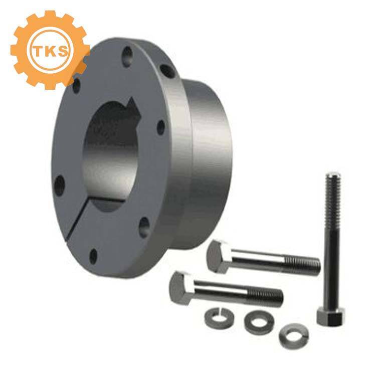 8-8v1600Ƥֿɽеר̩ɭԴͷ